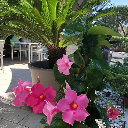 International Hotel Sirmione